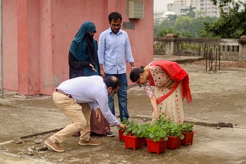 collaborators 61 (2)