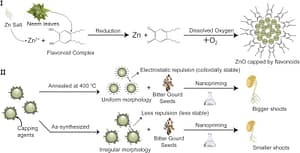 Annealing induced optimization of green synthesized ZnO nanoparticles for improved nanopriming in sustainable agriculture