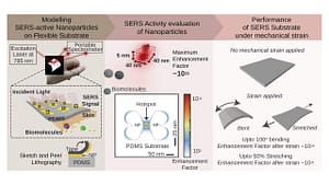 Flexible stretchable and single molecule sensitive SERS active sensor for wearable biosensing applications